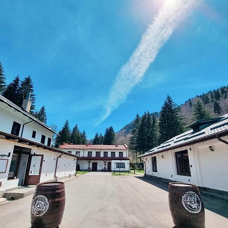 Pensiunea Rhein Azuga Bagian luar foto