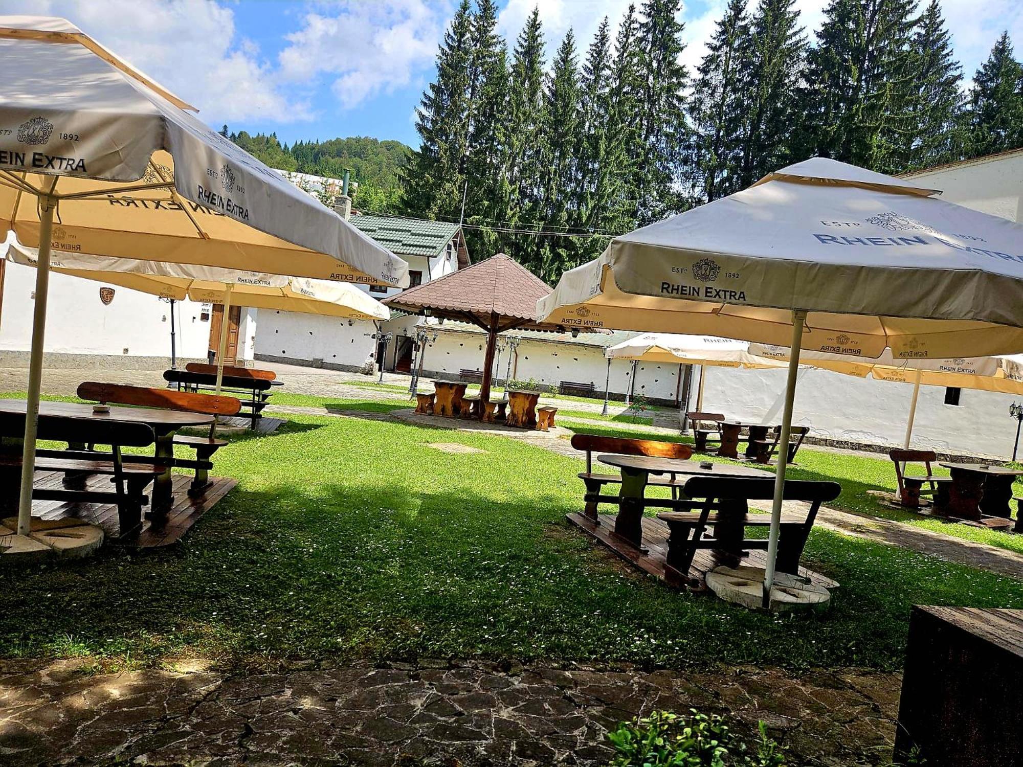 Pensiunea Rhein Azuga Bagian luar foto