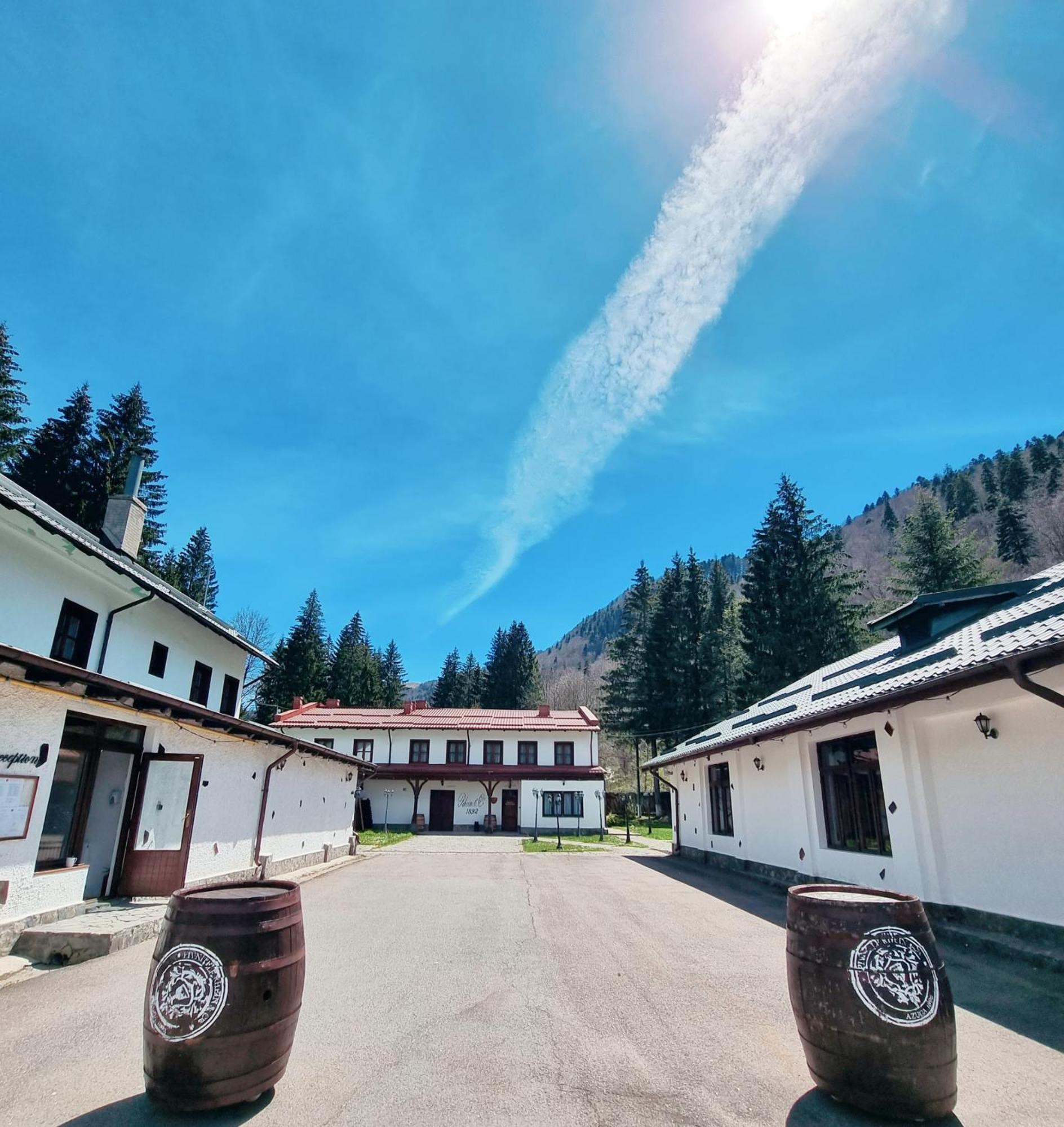 Pensiunea Rhein Azuga Bagian luar foto